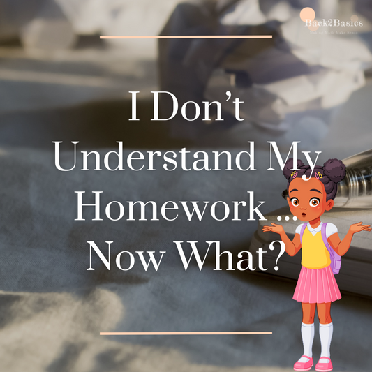 When You Don’t Understand Math – What Do You Do? 🤔